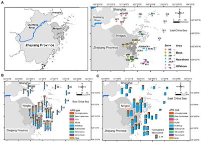 Geographic patterns and determinants of antibiotic resistomes in coastal sediments across complex ecological gradients